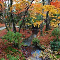 Hougon-in, Kyoto