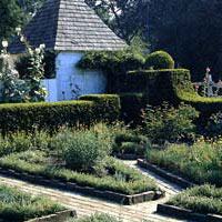 herb garden