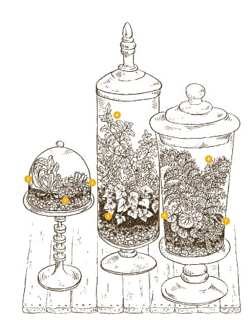 tree terrarium designs