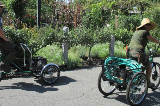 Two gardeners ride bikes on a path at the Garden.