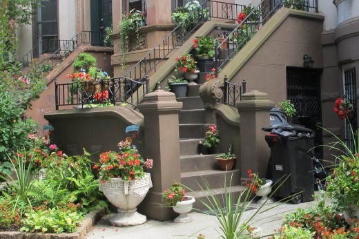 a stoop with many potted plants