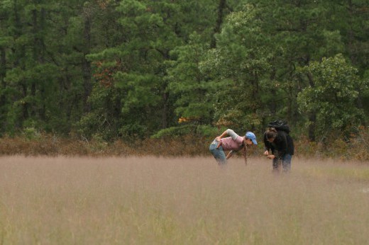 People look closely at field of tall grass.