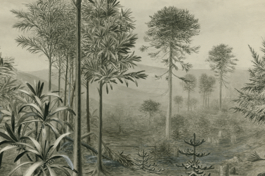 an illustration of plants as imagined in the Paleozoic periond