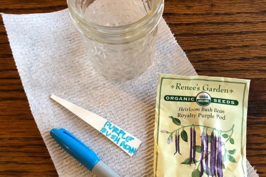 a seed packet, a marker, a paper towel, and a jar