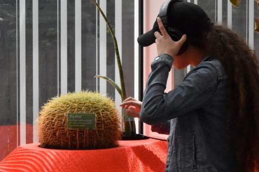 a woman wearing headphones touches a cactus